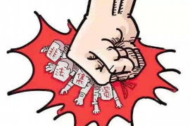 围场为什么选择专业追讨公司来处理您的债务纠纷？